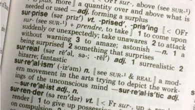 أهم تطبيق قاموس لتوسيع مفرداتك وإتقان الإنجليزية